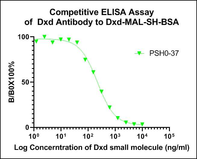 DXD Antibody (PSH0-37)
