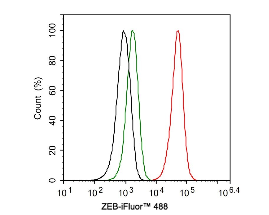 ZEB1 Antibody (PSH0-61)