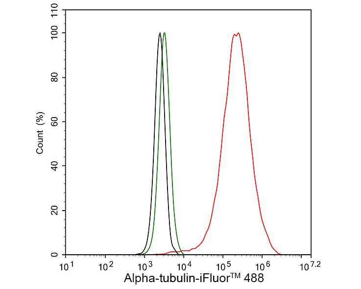 alpha Tubulin Antibody (PSH02-95)