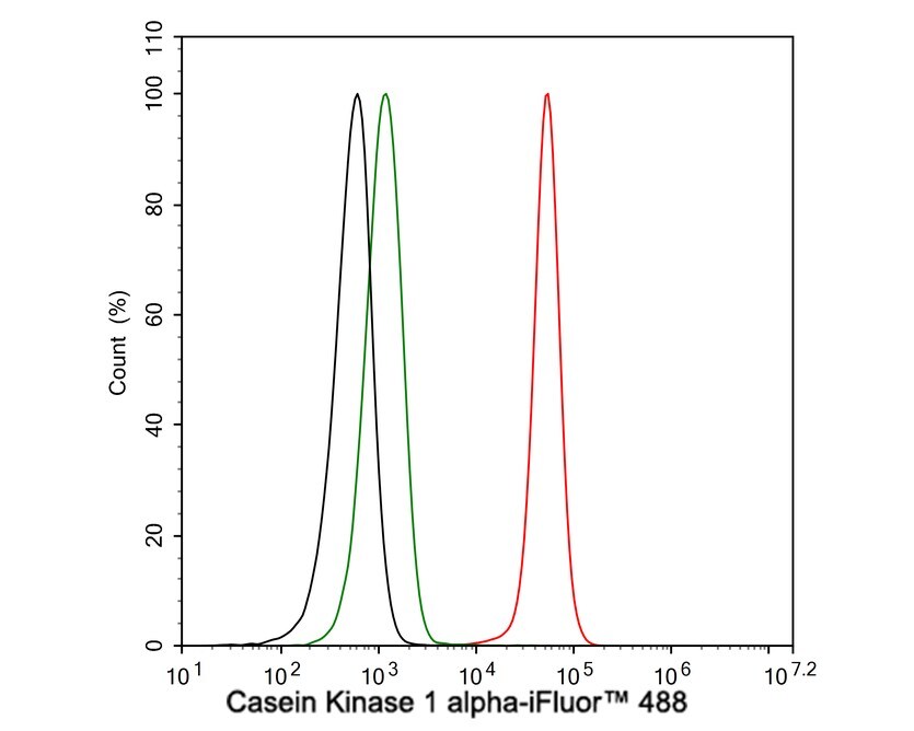 CSNK1A1/CSNK1A1L Antibody (PSH04-58)
