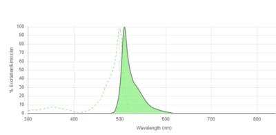 Fluorescent Exosome Standards (HEK293 cell line)