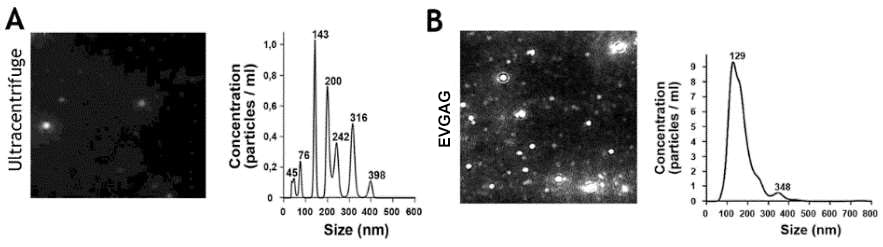 evGAG - Extracellular Vesicles Purification Kit