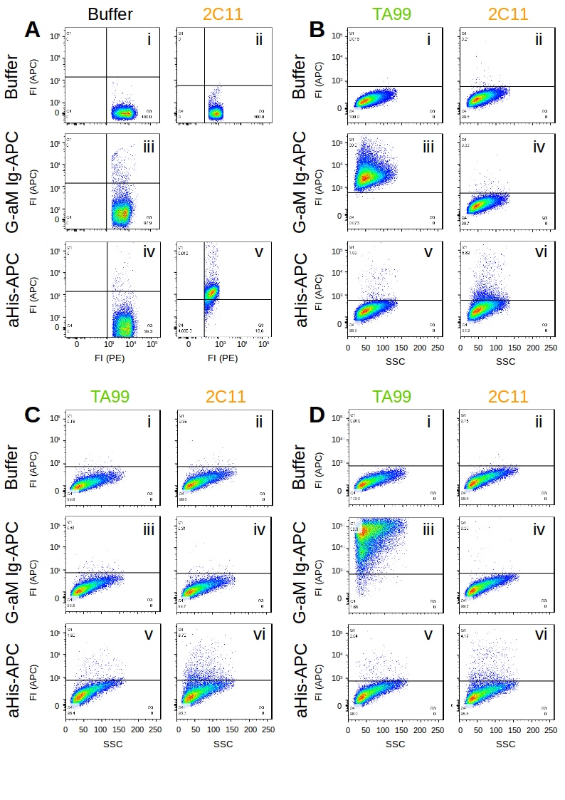 TYRP1 Antibody (TA99) - Chimeric - BSA Free