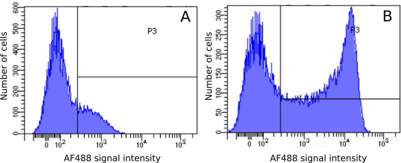 CD45RC Antibody (OX-22) - BSA Free CD45RC Antibody (OX-22) - BSA Free