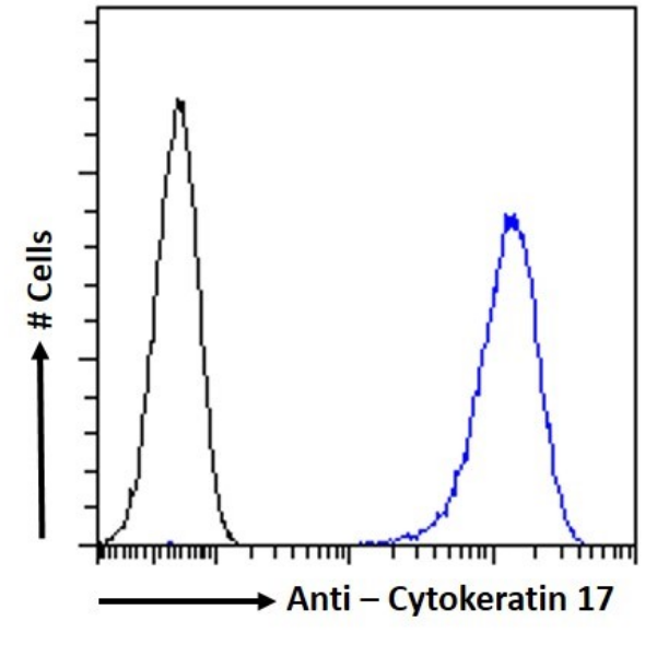 Cytokeratin 17 Antibody (4D2) - Chimeric - BSA Free Cytokeratin 17 Antibody (4D2) - Chimeric - BSA Free