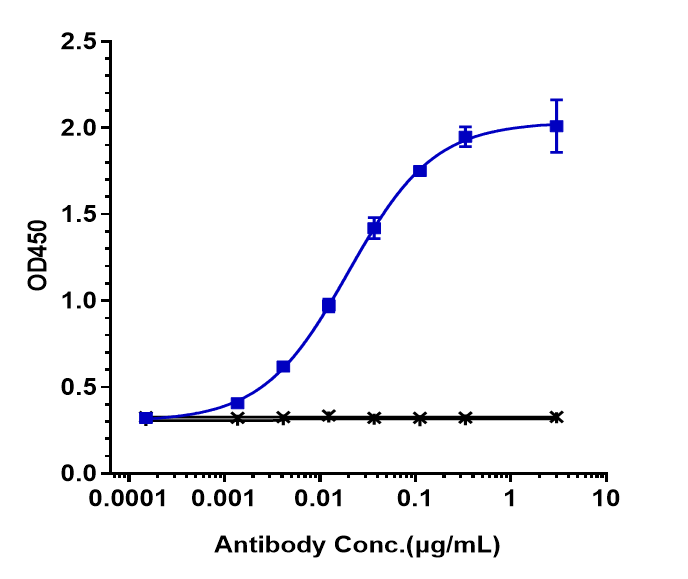 CD19 (Denintuzumab Mafodotin) Antibody ELISA: CD19 (Denintuzumab Mafodotin) Antibody [NBP3-44510] -