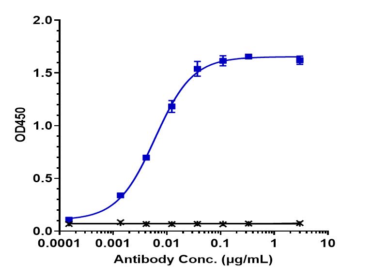 CD30/TNFRSF8 (Brentuximab Vedotin) Antibody ELISA: CD30/TNFRSF8 (Brentuximab Vedotin) Antibody [NBP3-44512] -