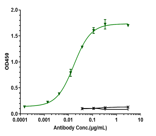 CD79B (Iladatuzumab Vedotin) Antibody - Azide and BSA Free
