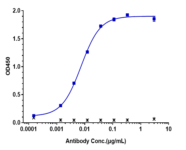 Hu ErbB2/Her2 mAb [ADC] - (Disitamab Vedotin)[NBP3-44526] -