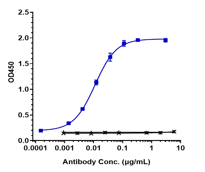 Hu ErbB2/Her2 mAb [ADC] - (Trastuzumab Deruxtecan) [NBP3-44527] -