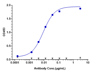 Hu ErbB2/Her2 mAb [ADC] - (Trastuzumab Vedotin)
