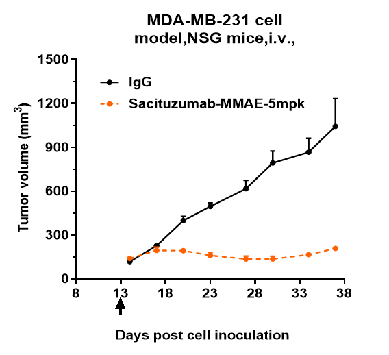 TROP-2 (Sacituzumab Vedotin) Antibody In vivo assay: TROP-2 (Sacituzumab Vedotin) Antibody [NBP3-44558] -