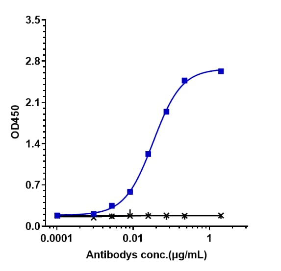 EGFR/Fc gamma RIIIA (AFM24) Antibody ELISA: EGFR/Fc gamma RIIIA (AFM24) Antibody [NBP3-44565] -