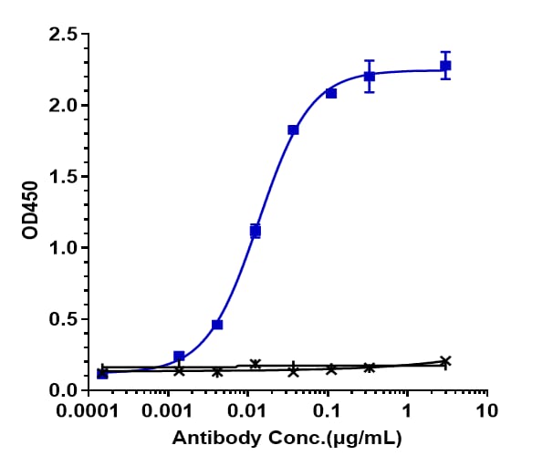 GPRC5D/CD3 (Talquetamab) Antibody ELISA: GPRC5D/CD3 (Talquetamab) Antibody [NBP3-44568] -