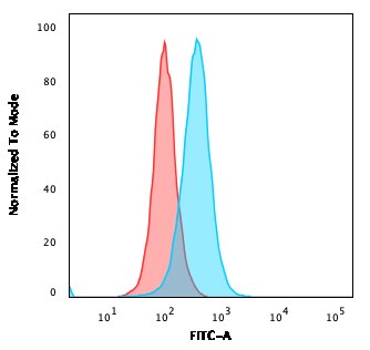 Aquaporin-4 Antibody (AQP4/3323)
