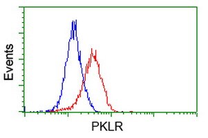 Pyruvate Kinase Antibody (OTI1H4) Flow Cytometry;Pyruvate Kinase Antibody (OTI1H4)[NBP3-44636]-