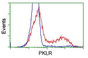 Pyruvate Kinase Antibody (OTI1H4) Flow Cytometry;Pyruvate Kinase Antibody (OTI1H4)[NBP3-44636]-