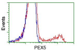 PEX5 Antibody (OTI6E9) Flow Cytometry;PEX5 Antibody (OTI6E9)[NBP3-44637]-