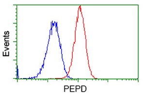 PEPD Antibody (OTI5D5) Flow Cytometry;PEPD Antibody (OTI5D5)[NBP3-44638]-