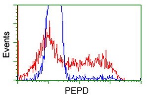 PEPD Antibody (OTI1B7) Flow Cytometry;PEPD Antibody (OTI1B7)[NBP3-44639]-