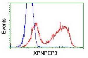 XPNPEP3 Antibody (OTI5G2) Flow Cytometry;XPNPEP3 Antibody (OTI5G2)[NBP3-44640]-