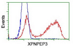 XPNPEP3 Antibody (OTI4B8) Flow Cytometry;XPNPEP3 Antibody (OTI4B8)[NBP3-44641]-