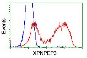 XPNPEP3 Antibody (OTI2D5) Flow Cytometry;XPNPEP3 Antibody (OTI2D5)[NBP3-44642]-