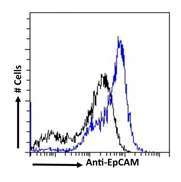 EpCAM/TROP1 Antibody (MT201 (HD69)) - Chimeric, (Research Grade adecatumumab Biosimilar) - BSA Free EpCAM/TROP1 Antibody (MT201 (HD69)) - Chimeric, (Research Grade adecatumumab Biosimilar) - BSA Free