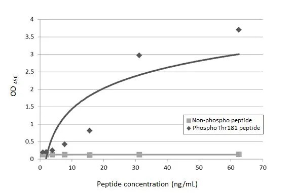 Tau [p Thr181] Antibody (HL2497) - Azide and BSA Free