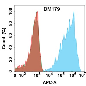 Claudin-18 Antibody (DM179)