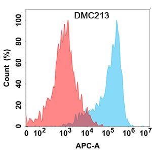 CD24 Antibody (DMC213) - Chimeric