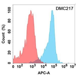 CD24 Antibody (DMC217) - Chimeric