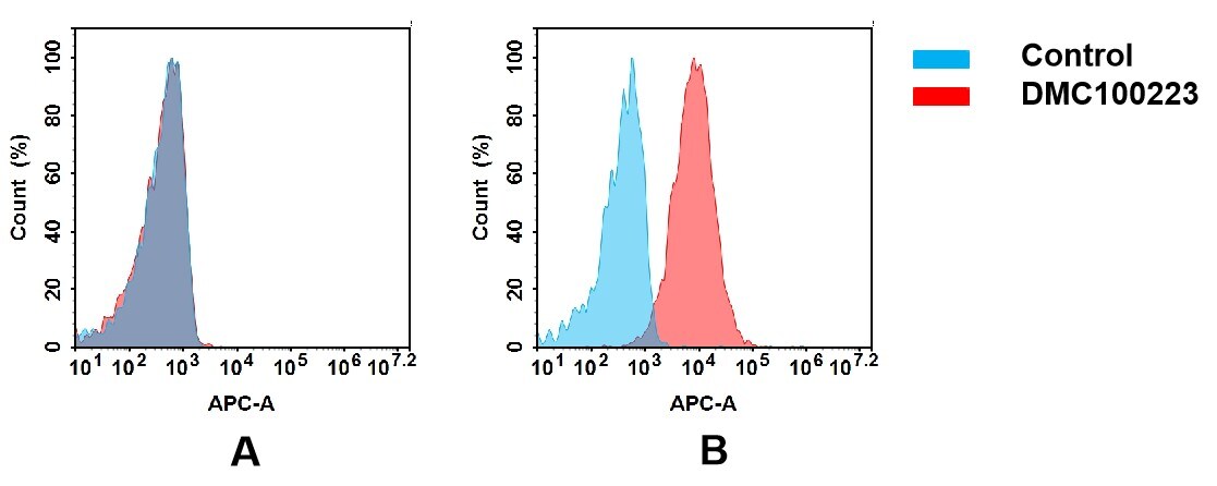 TREM2 Antibody (DMC223) - Chimeric