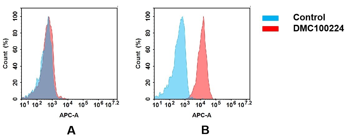Nectin-2/CD112 Antibody (DMC224) - Chimeric