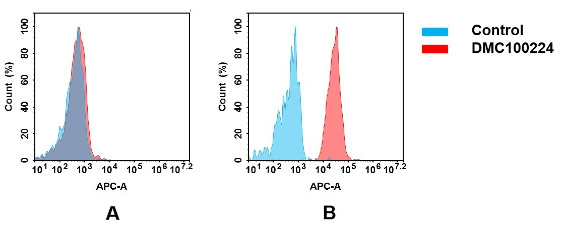 Nectin-2/CD112 Antibody (DMC224) - Chimeric