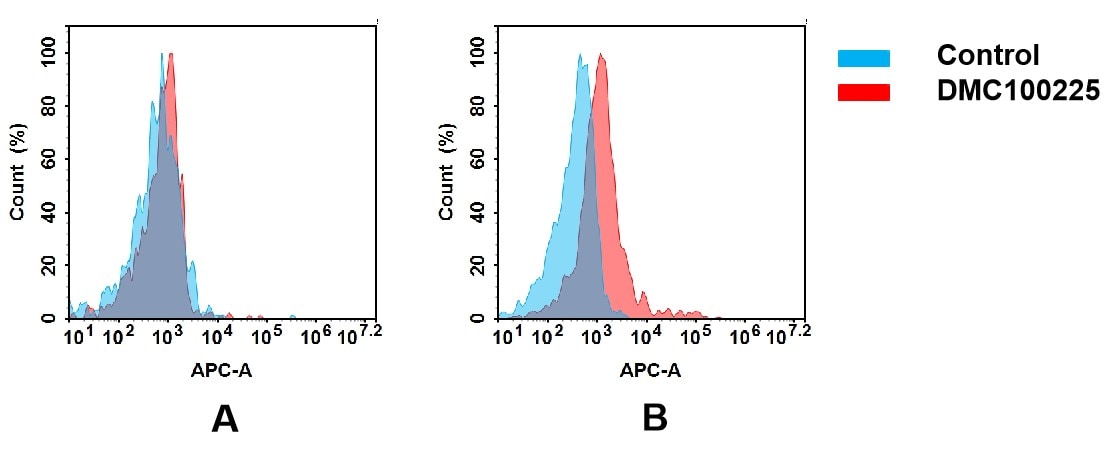 IL-21R Antibody (DMC225) - Chimeric