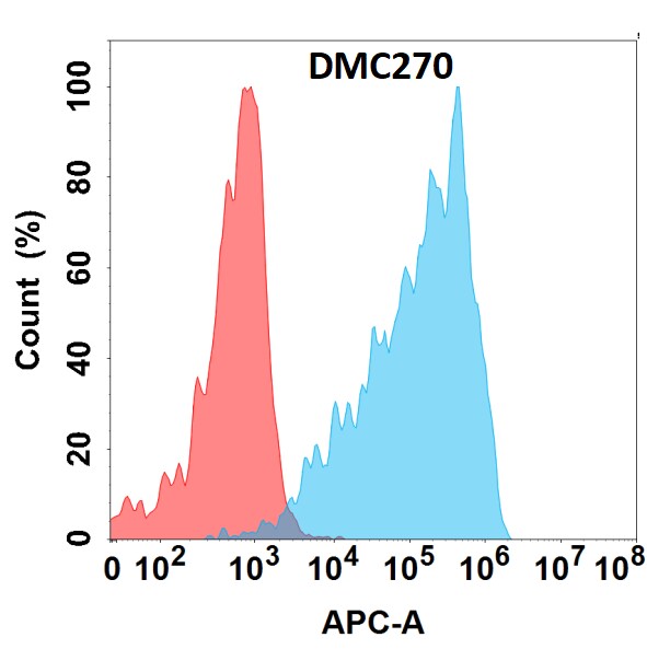 CD160 Antibody (DMC270) - Chimeric