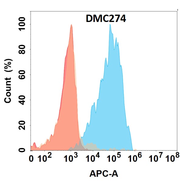 IL-5 Antibody (DMC274) - Chimeric