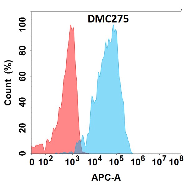 Albumin Antibody (DMC275) - Chimeric