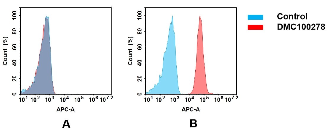 JAM-A Antibody (DMC278) - Chimeric