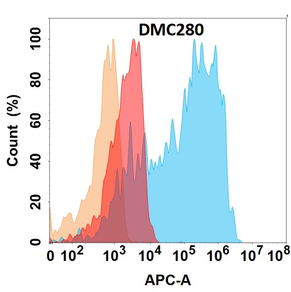 CD21 Antibody (DMC280) - Chimeric