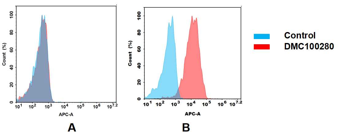 CD21 Antibody (DMC280) - Chimeric