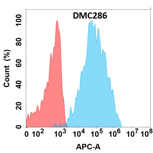 CD84/SLAMF5 Antibody (DMC286) - Chimeric