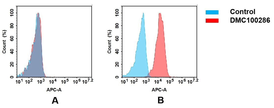 CD84/SLAMF5 Antibody (DMC286) - Chimeric