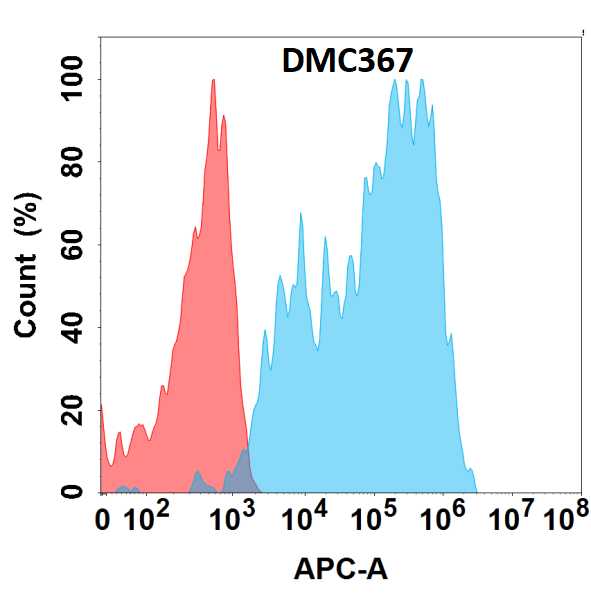 ICAM-1/CD54 Antibody (DMC367) - Chimeric