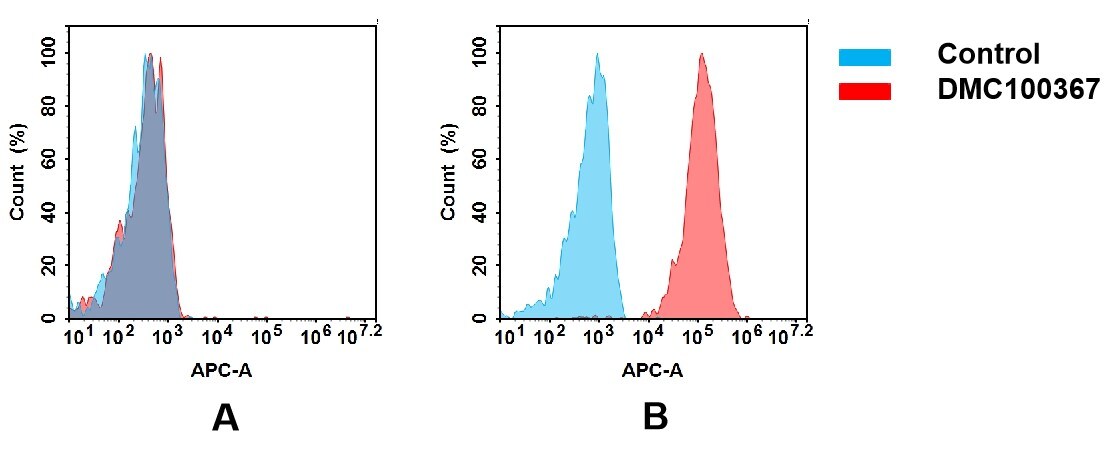 ICAM-1/CD54 Antibody (DMC367) - Chimeric