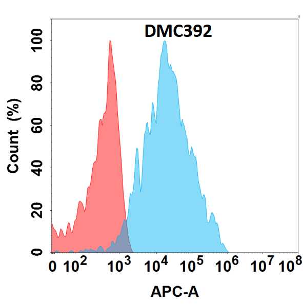 beta-1,4-Galactosyltransferase 1/B4GalT1 Antibody (DMC392) - Chimeric