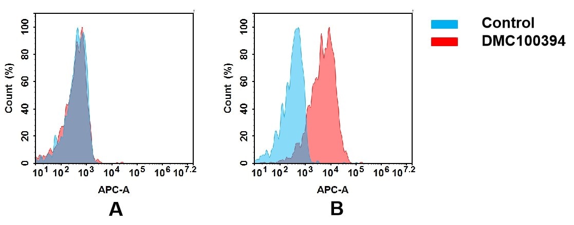 OCIL/CLEC2d Antibody (DMC394) - Chimeric
