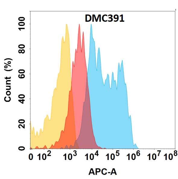 FOLR1 Antibody (DMC391) - Chimeric
