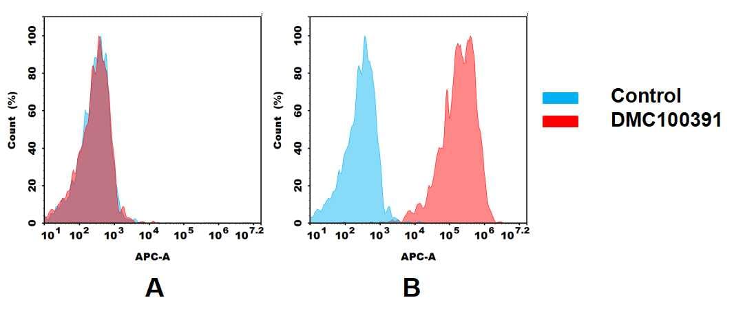 FOLR1 Antibody (DMC391) - Chimeric